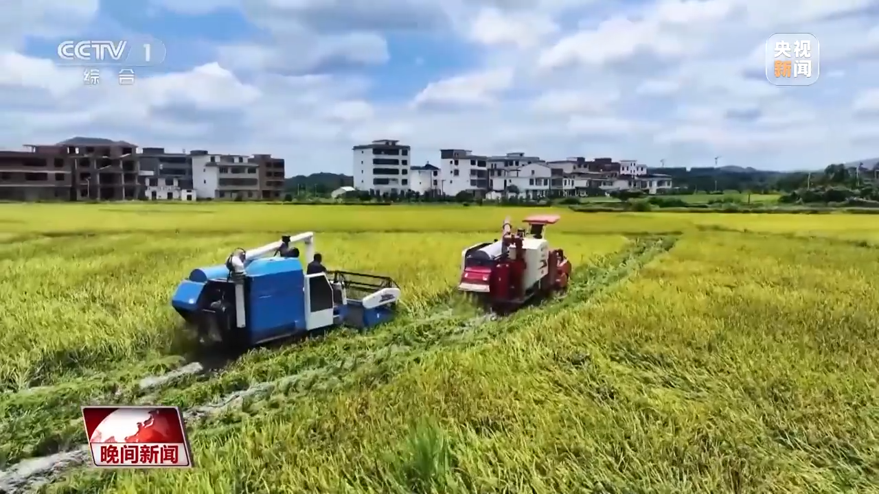 全国早稻收获过一成半 进度快于上年 农作物收割服务迎高峰