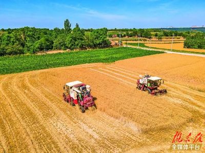 庆阳市全力推进“三夏”机收 确保实现应收尽收颗粒归仓